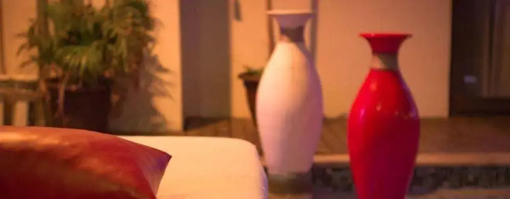 Villa Das Arabias Boutique Hotel - Général