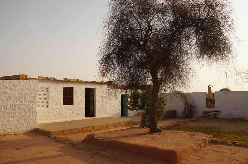 Gangaur Desert Resort By Park Tree