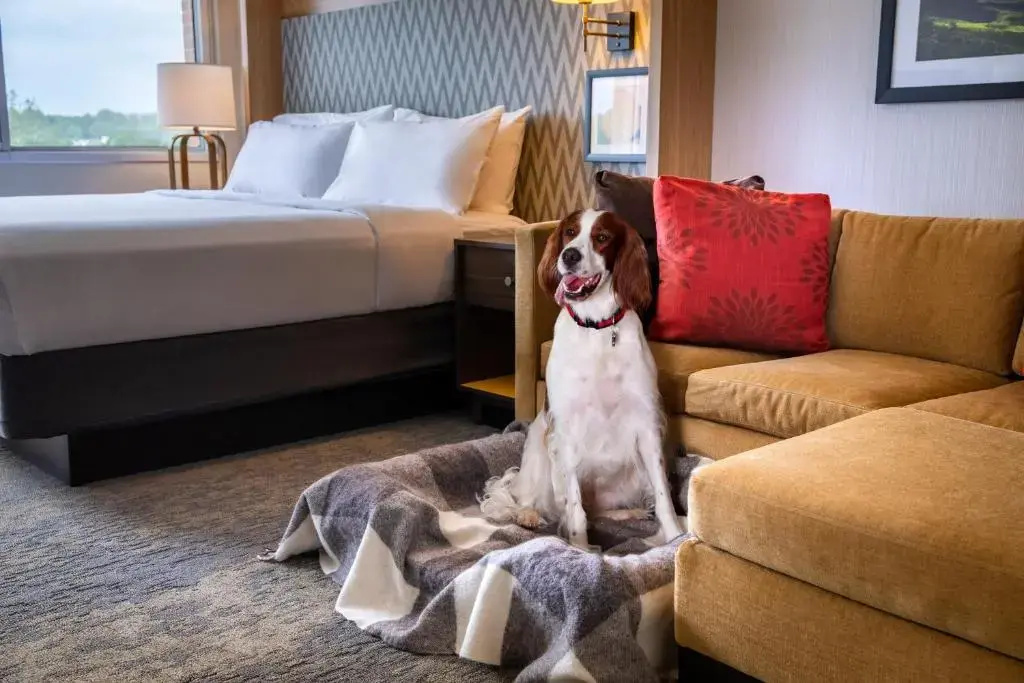 Holiday Inn Charlottesville-Monticello by IHG - Chambres