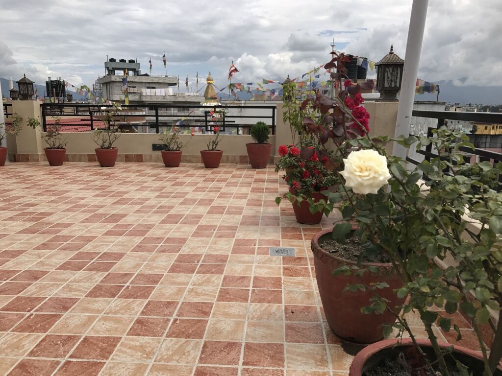 Image 15