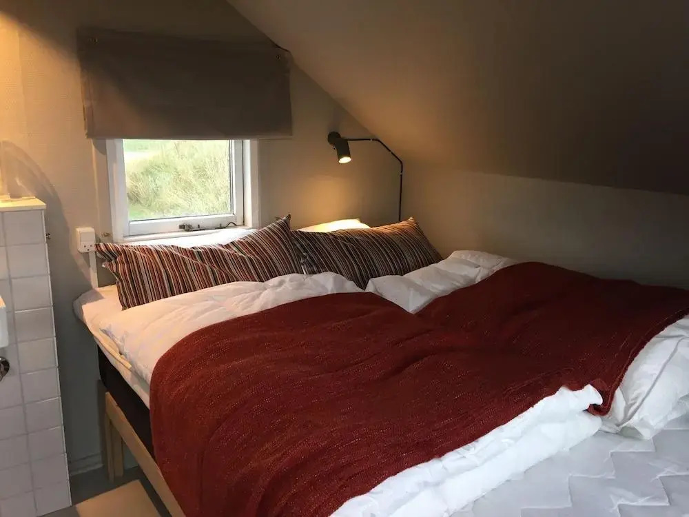 Dancamps Nordsø - фото 2