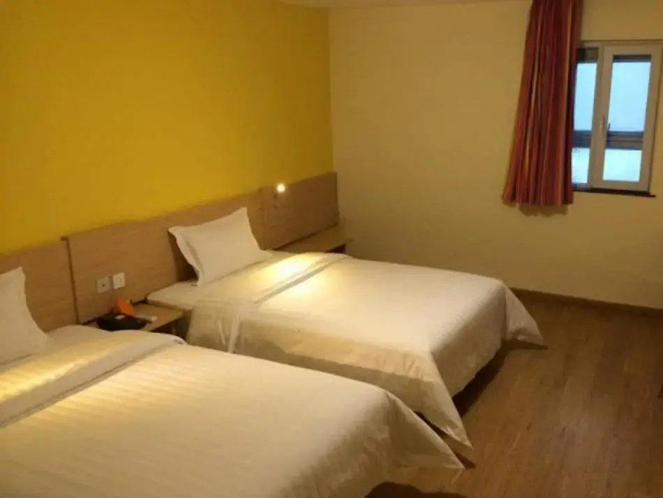 Standard Double room with city view (twin beds)