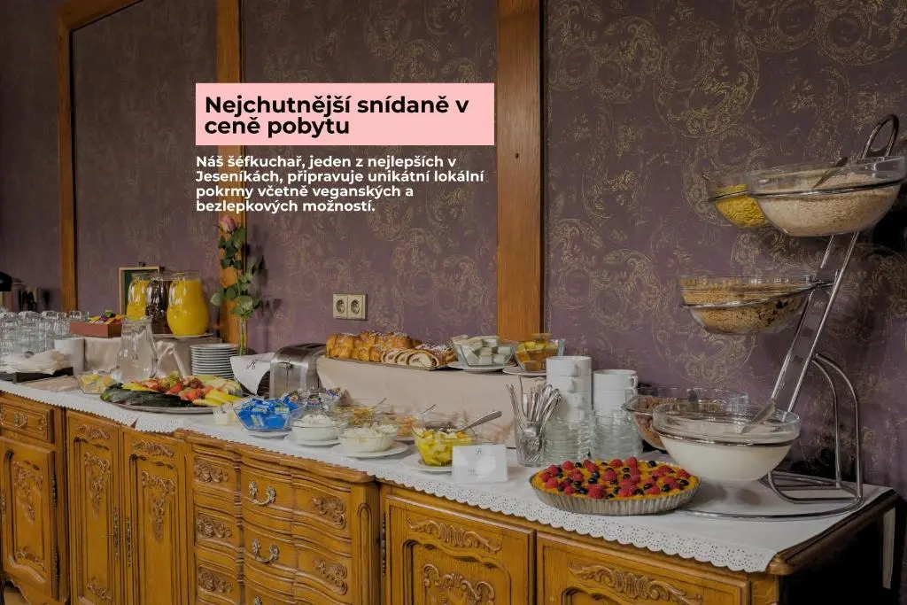 Wellness & Spa hotel Villa Regenhart - Général