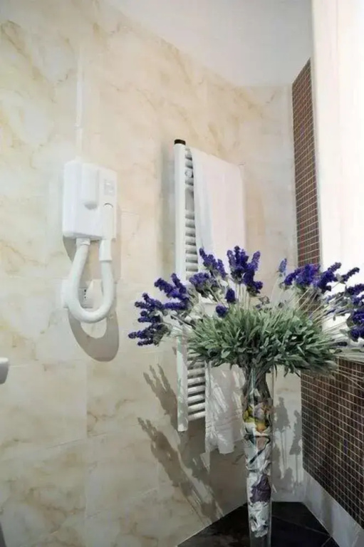 Hotel Residence Matteotti - Général