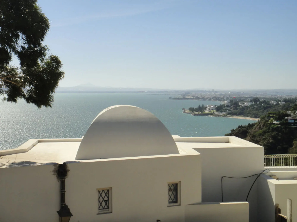 Dar El Fell Sidi Bou Said - Adults Only - Général