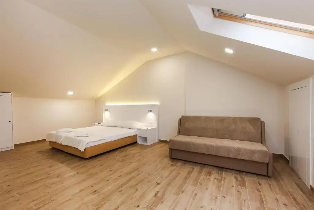 Standard Double room (full double bed)