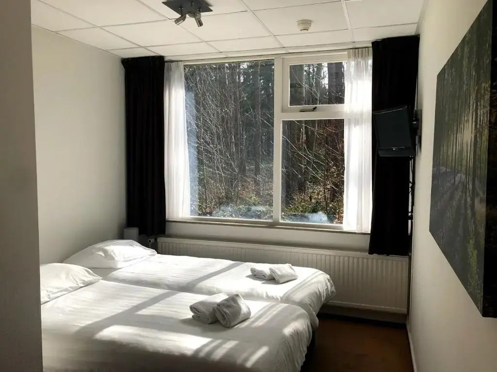 Standard Double room with park view (full double bed)