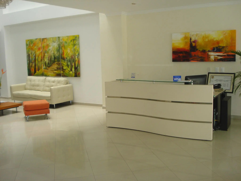 Hotel Puerta De Alcala - Général