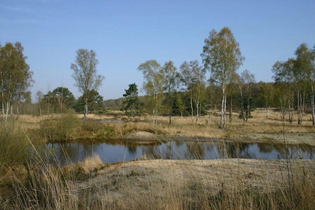 Boshotel Vlodrop - Général