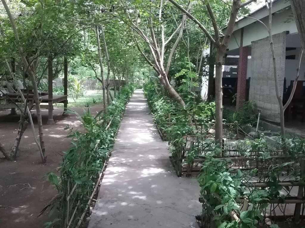 Putri Homestay - Général