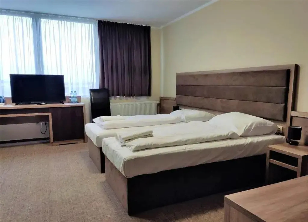 Deluxe Double room (twin beds)