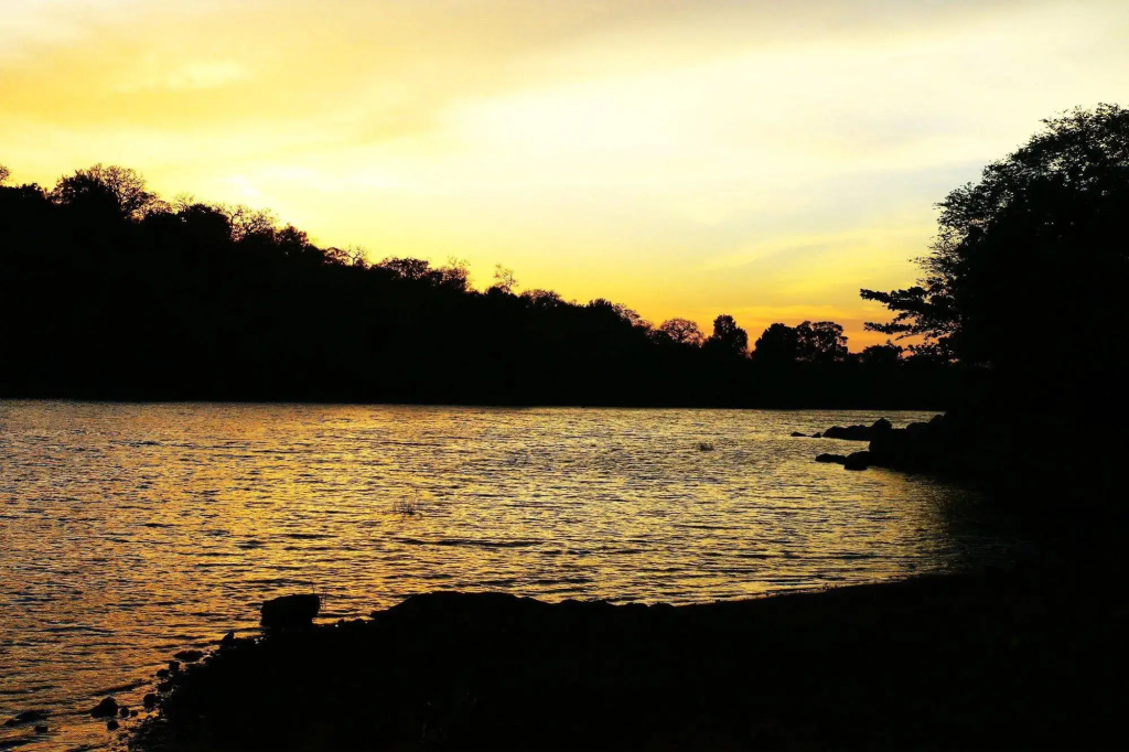 Kodigahawewa Forest Resort - Général