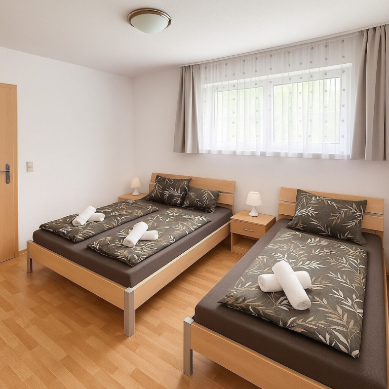 Comfort Apartment
