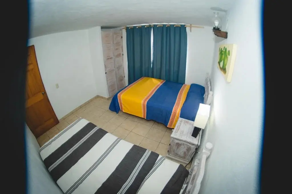 Cabañas Las Lagartijas del Lago - Général