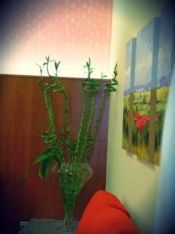Hotel photo 33