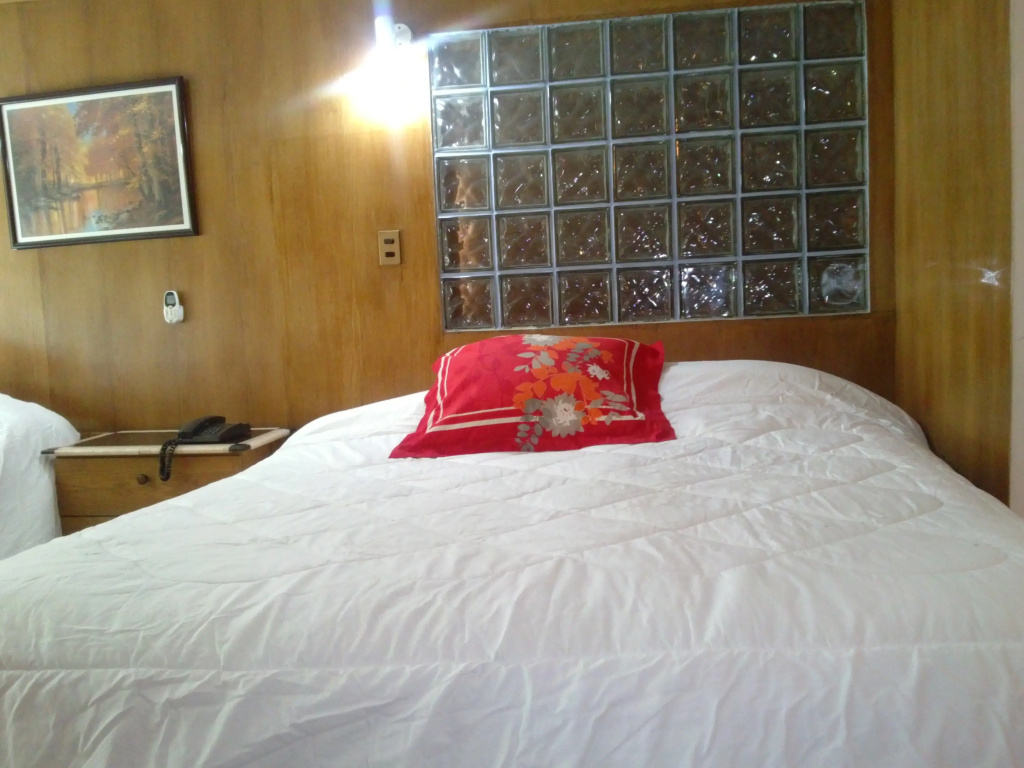 Windsor Suites Hotel - Général
