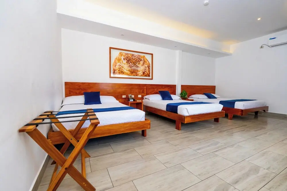 Hotel Ninfa - Chambres