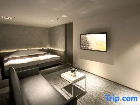 Premium Double room (full double bed)
