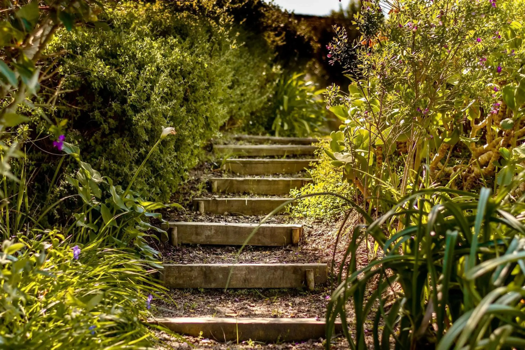 The Dongola Guesthouse