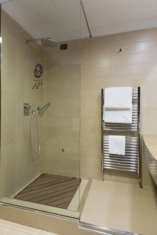 Hotel Pineta Wellness & Spa - Général