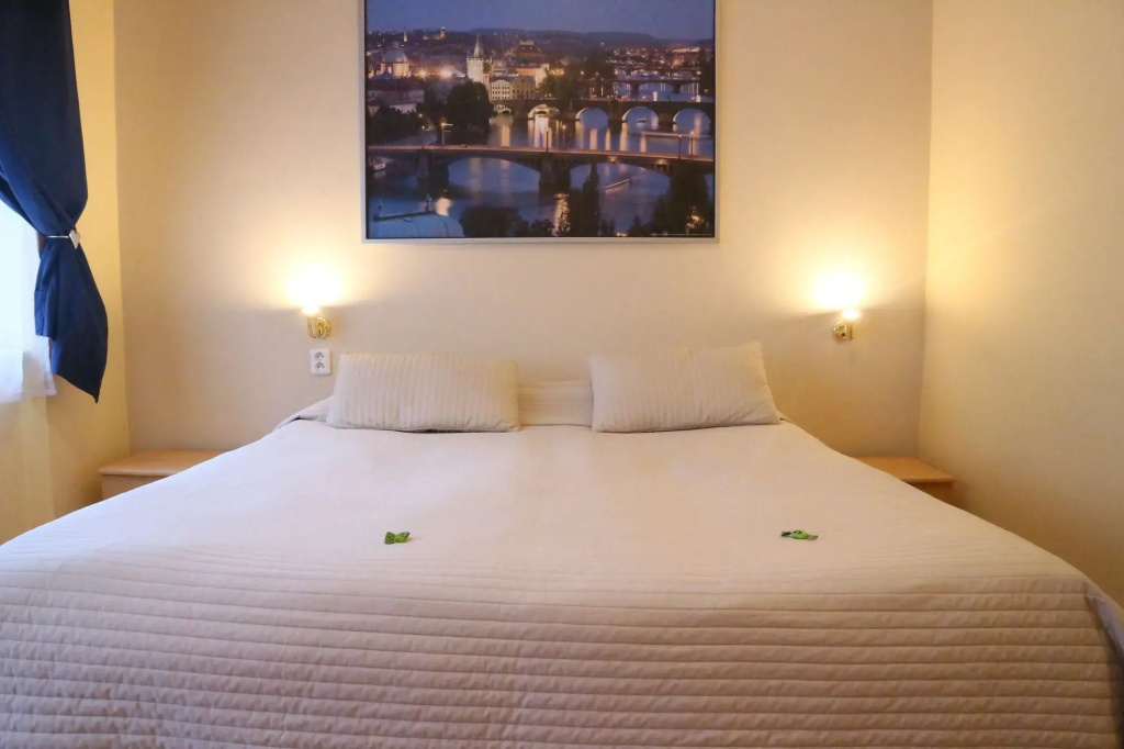 City Crown Hotel Prague - Général