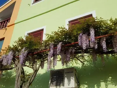 Apartments Judit