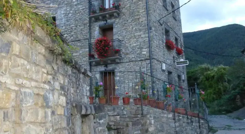 Image 6