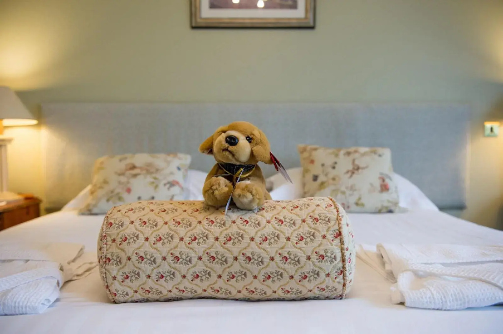 Lake Vyrnwy Hotel & Spa - Général