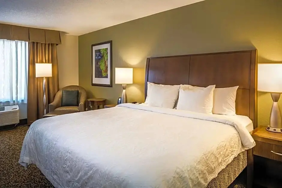 Hilton Garden Inn Richmond Innsbrook - Chambres