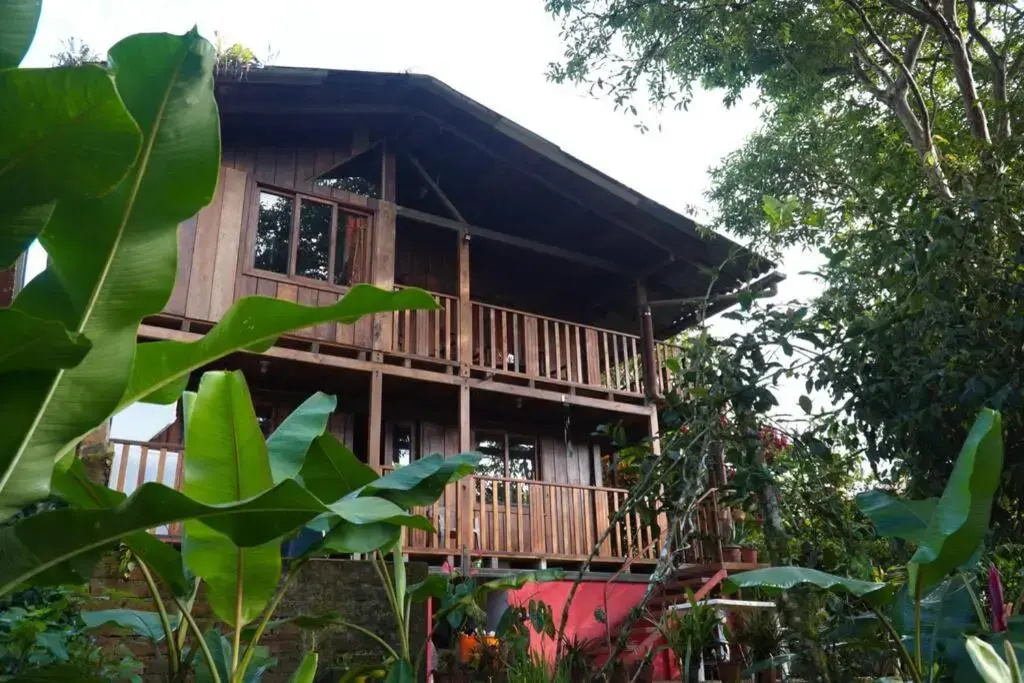Mindo cozy house