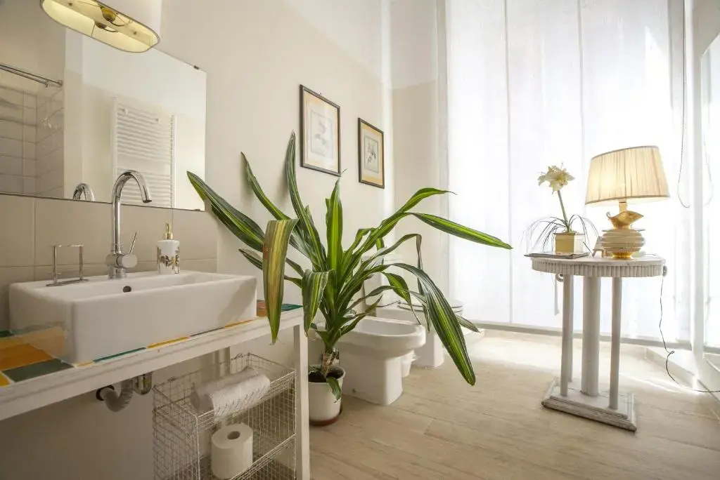 Comfort room