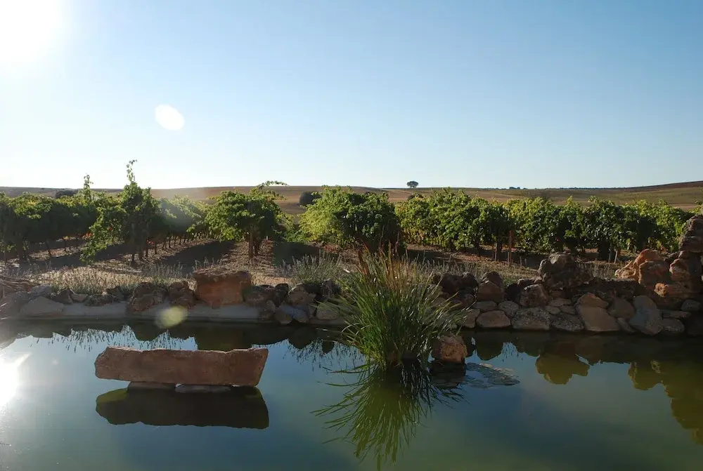 Hotel Rural Teso de la Encina - Général