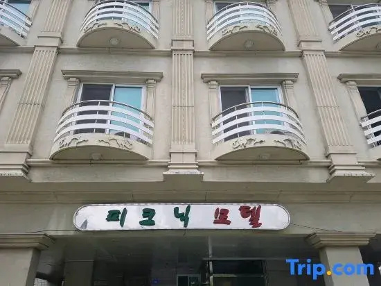 Picnic Motel Gangneung