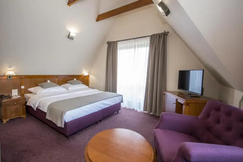 Comfort Double room (full double bed)