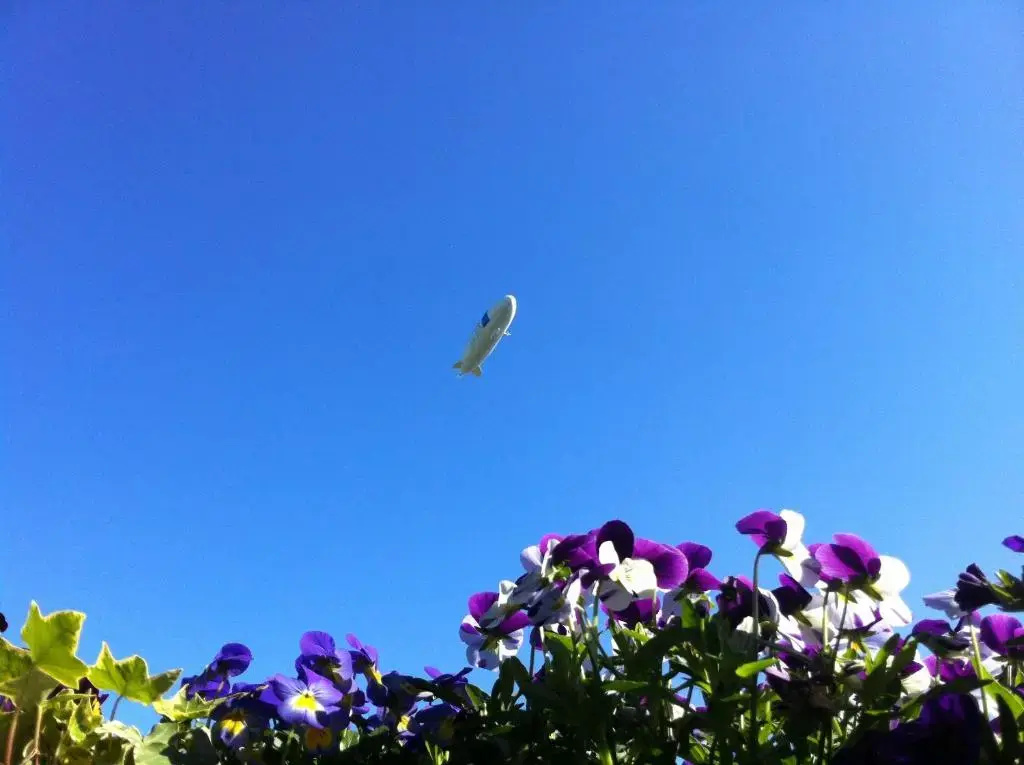 Landgasthof Apfelblüte - Chambres