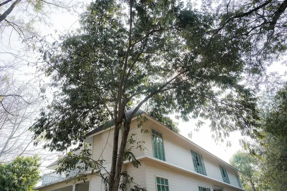 The Vintage Hotel Khaoyai - Chambres