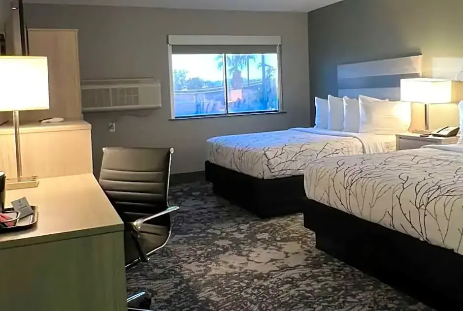 1 Bedroom Quadruple Suite