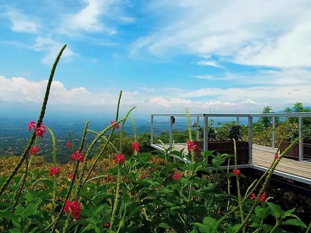 Hotel Barons Resort - фото 10