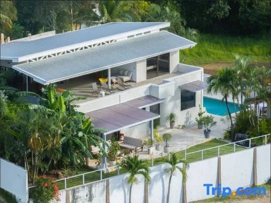 Panoramic ocean view 3 story beautiful modern home with a gourmet chefs kitchen