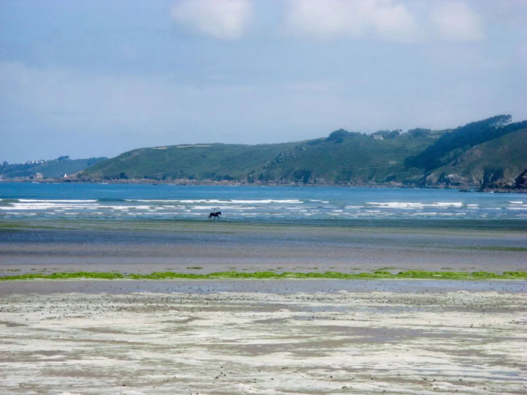 Beach & Waterfront