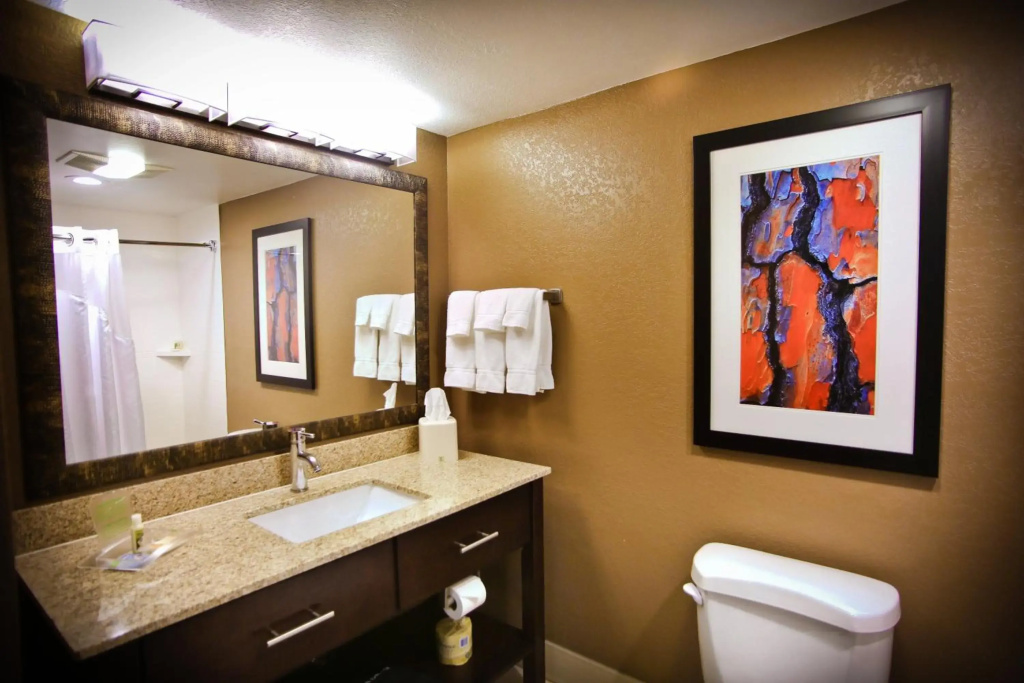 Holiday Inn & Suites Downtown La Crosse - Général