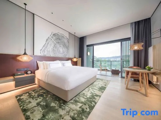Standard Double room with lake view (full double bed)