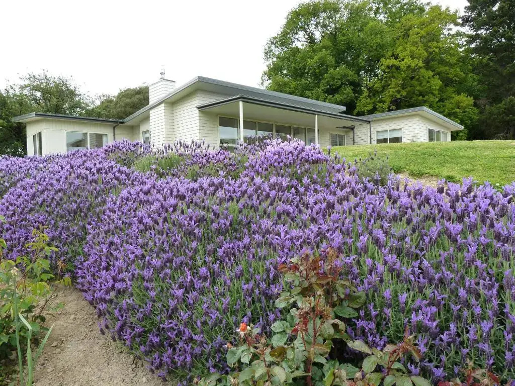 L'abri Bed and Breakfast - Chambres