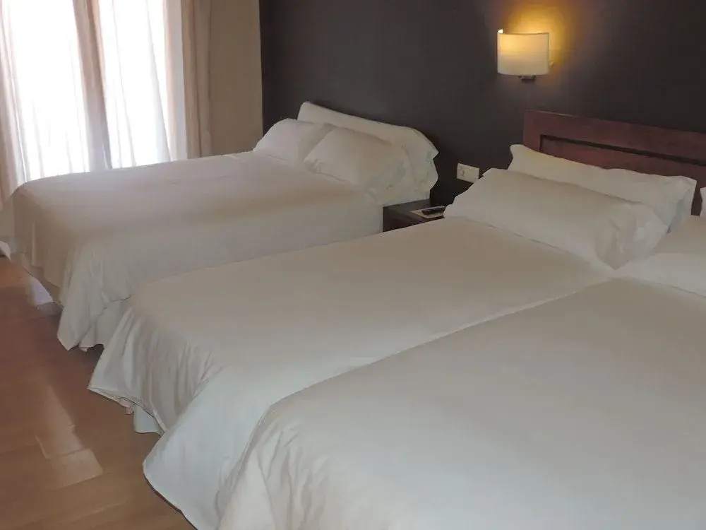 Hotel Puerta de España - Général