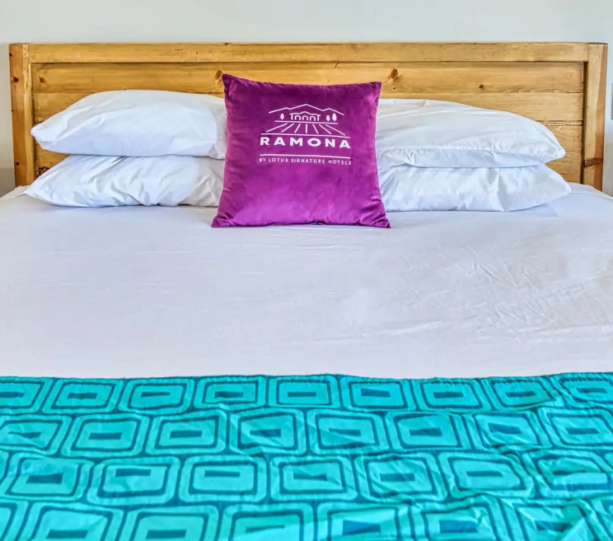 1 Bedroom Standard Single room