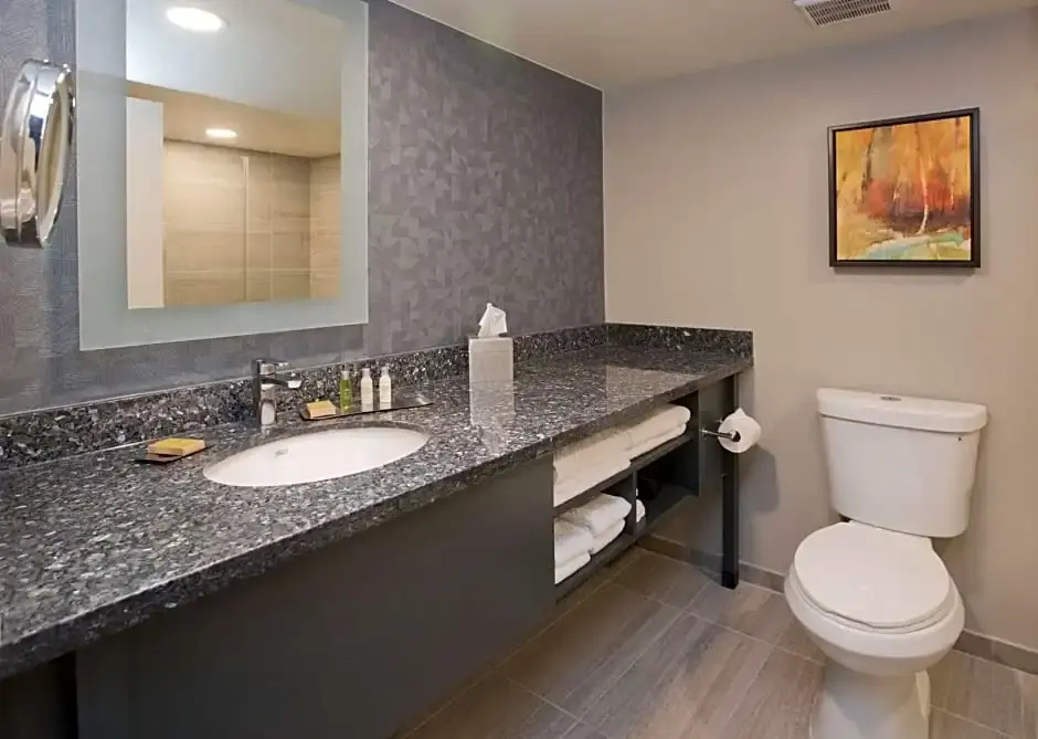 DoubleTree by Hilton Chico - Chambres