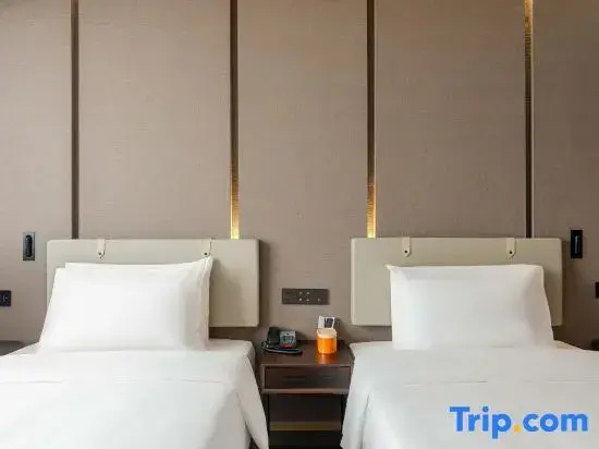 Business Double room (twin beds)