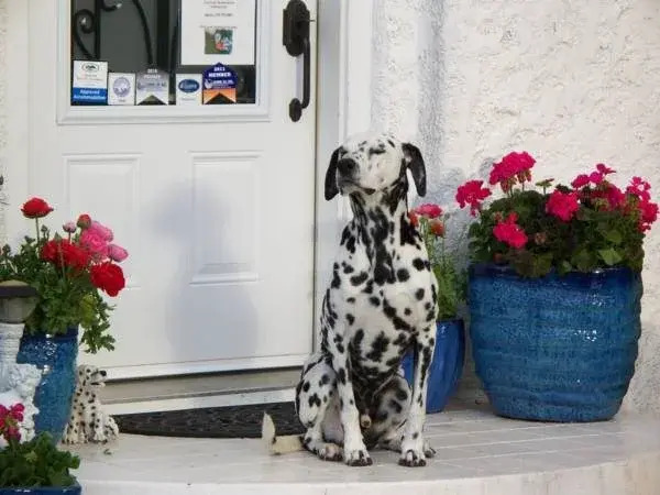 Charm Of Qualicum Bed And Breakfast