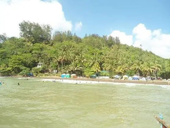 Beach & Waterfront