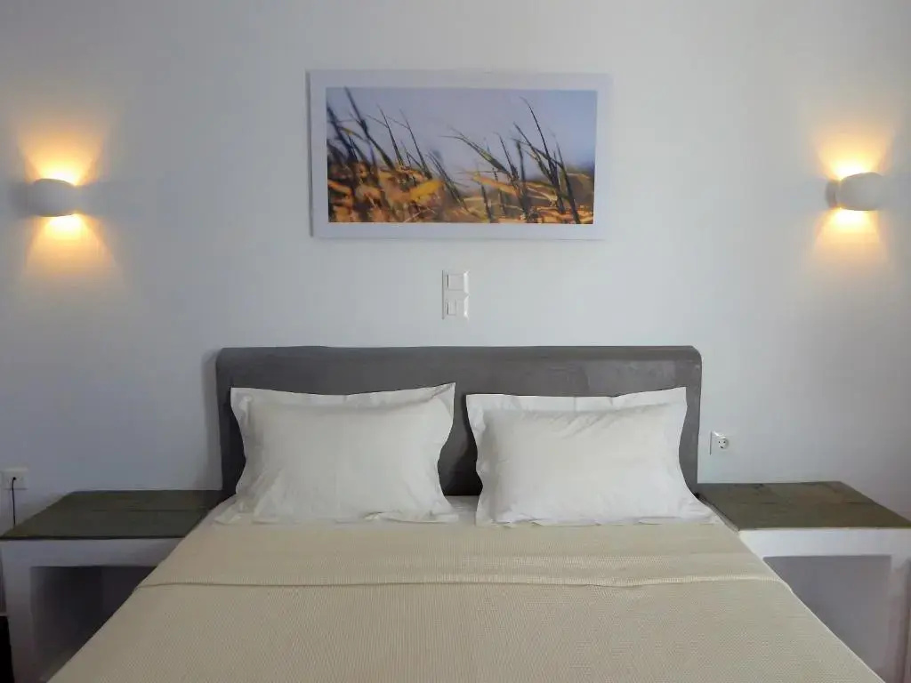 Standard Double room with balcony (full double bed)
